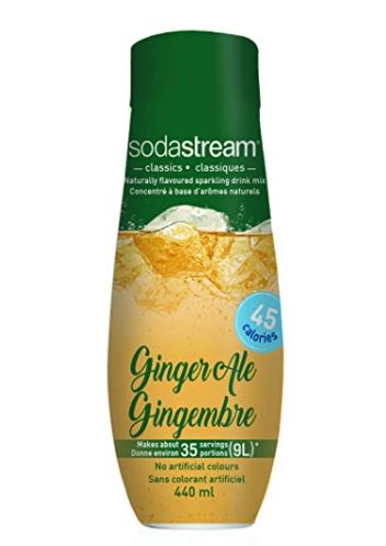 Best SodaStream Flavors: SodaStream Ginger Ale Syrup